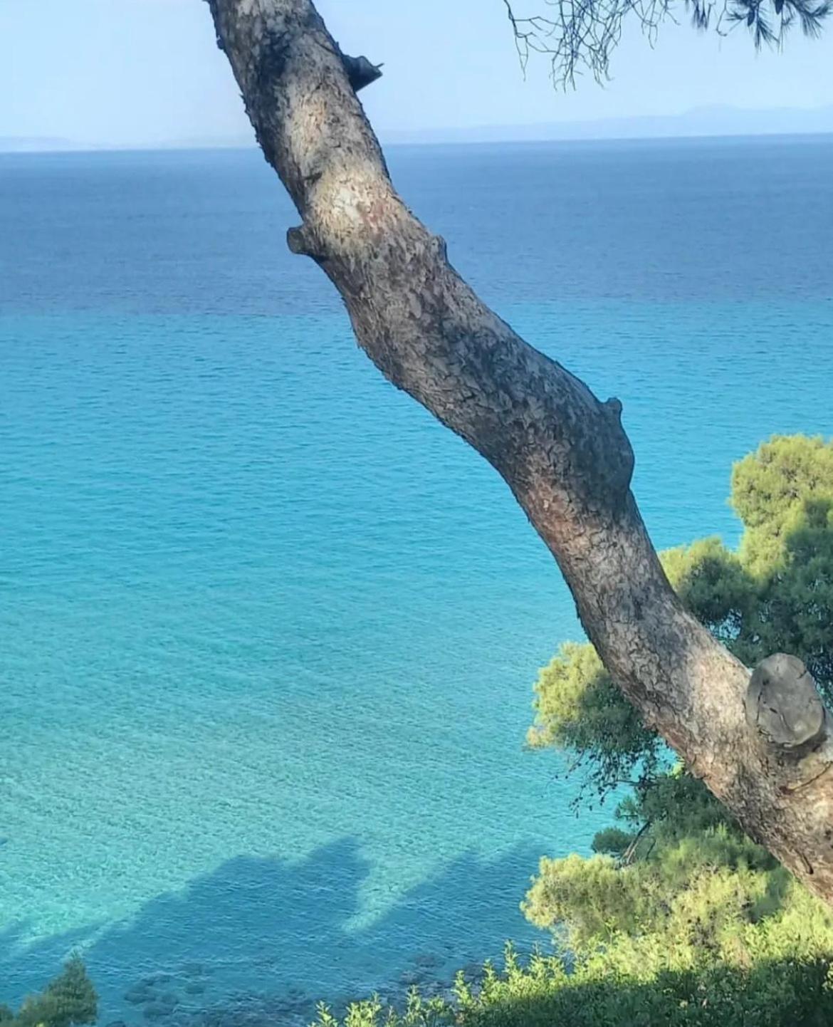 Σαλέ Palma *